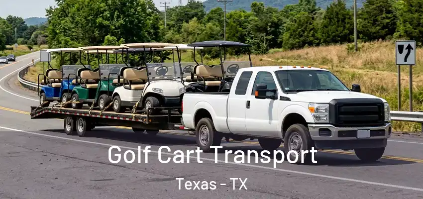  Golf Cart Transport Texas - TX